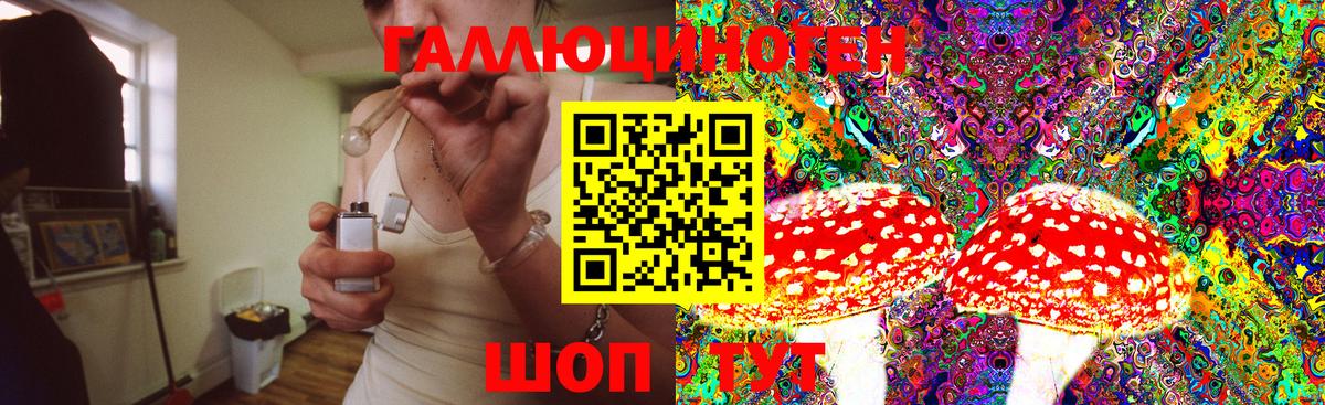 Выкса  Галлюциногенные грибы MAGIC MUSHROOMS  Вход с VPN  купить наркоту  Псилоцибиновые грибы Cubensis 